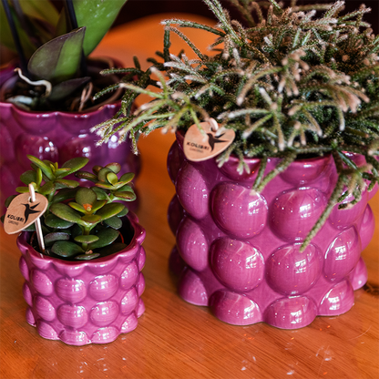 Kolibri Home | Cotton Shine Übertopf - Purple - Ø6cm