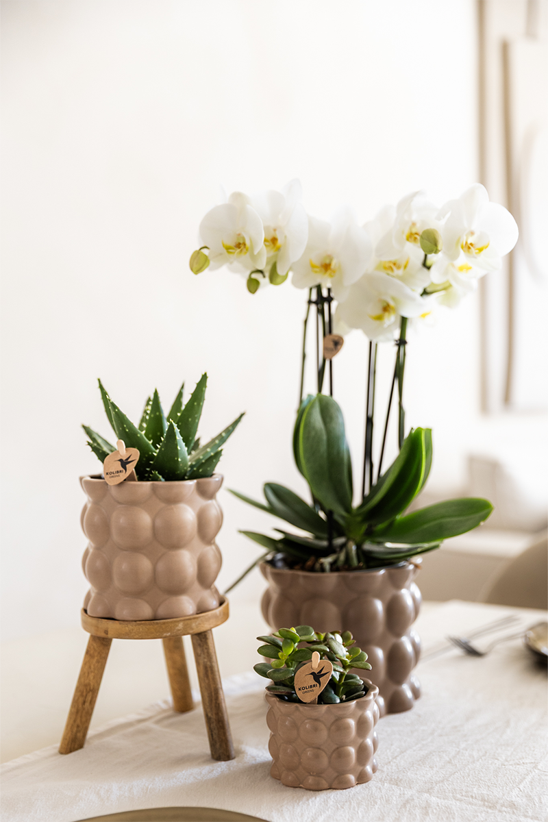 Kolibri Home | Cotton sierpot - Sand - Ø12cm
