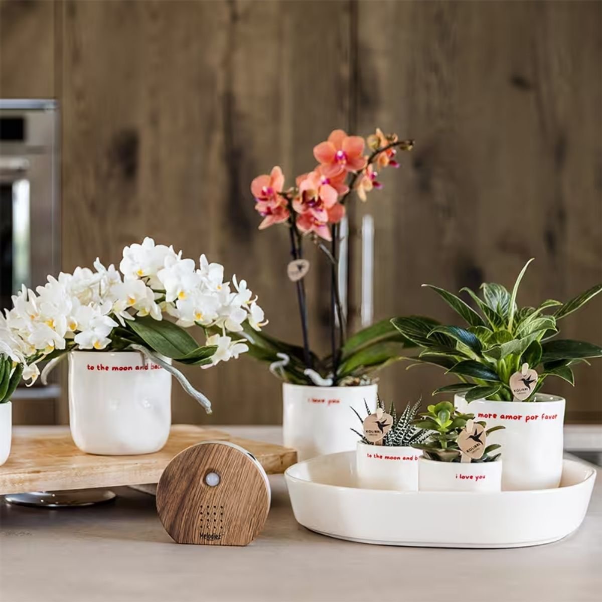 Kolibri Home | More Amor Por Favor Übertopf - Ø9cm