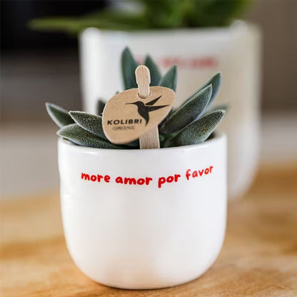 Kolibri Home | More Amor Por Favor Übertopf - Ø6cm