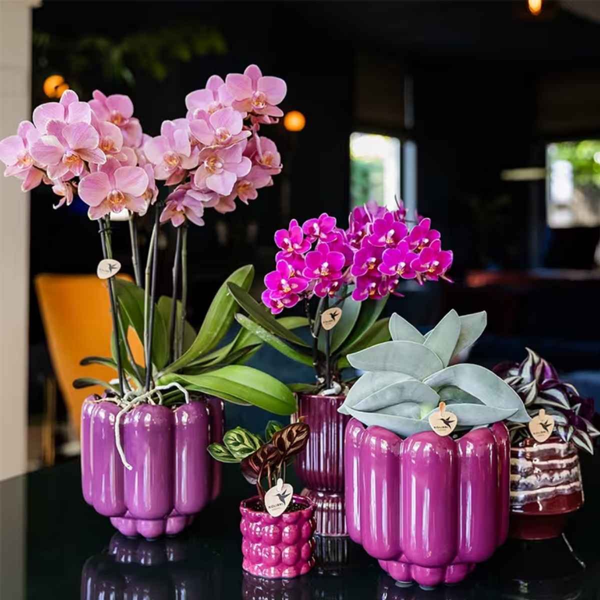 Kolibri Home | Retro Übertopf - Violett - Ø12cm