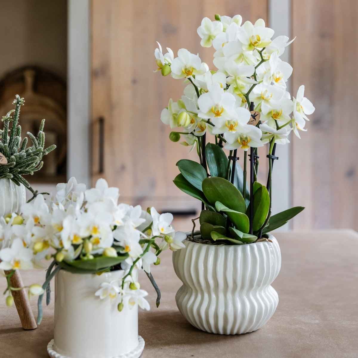 Kolibri Home | Horizon Übertopf - Weiß - ∅12cm
