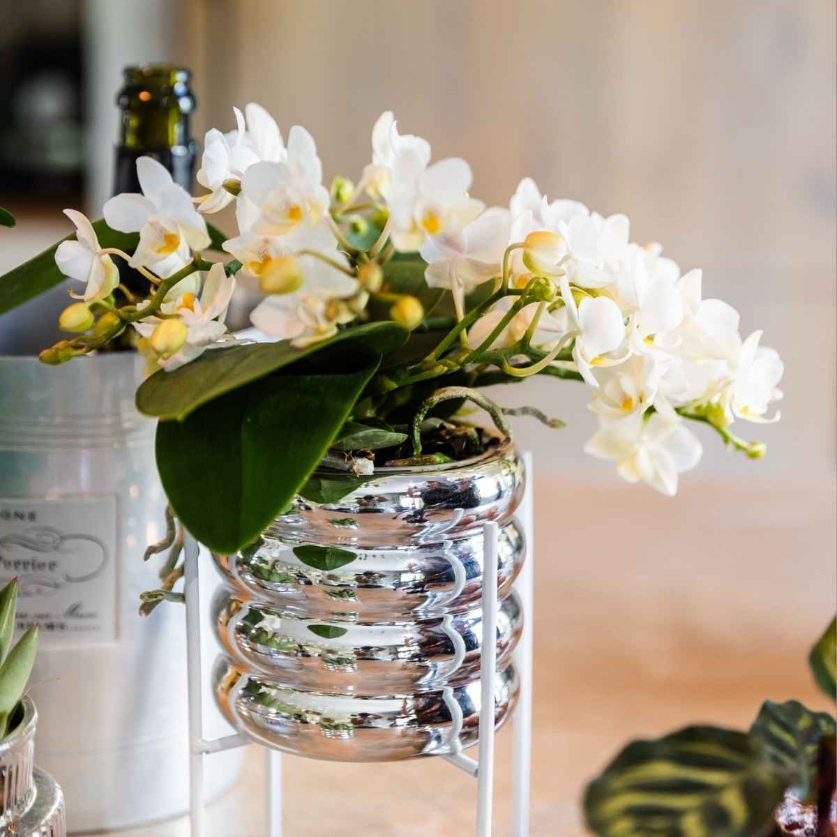 Kolibri Home | Glow Übertopf - Silber - Ø9cm