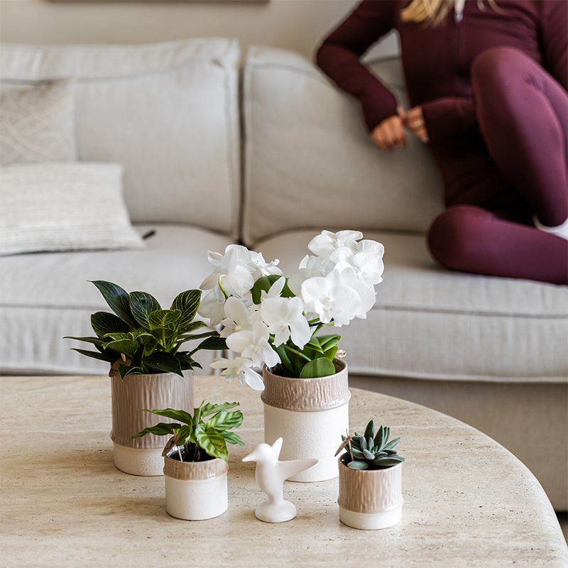 Kolibri Home | Tree Übertopf - Sand - Ø9cm
