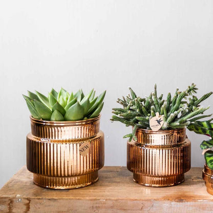 Kolibri Home | Allure Shiny Übertopf - Bronze - Ø12cm