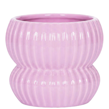Kolibri Orchids | Weiße Lausanne Orchidee + Horizon Übertopf rosa – Topfgröße Ø12cm | blühende Zimmerpflanze – frisch vom Züchter