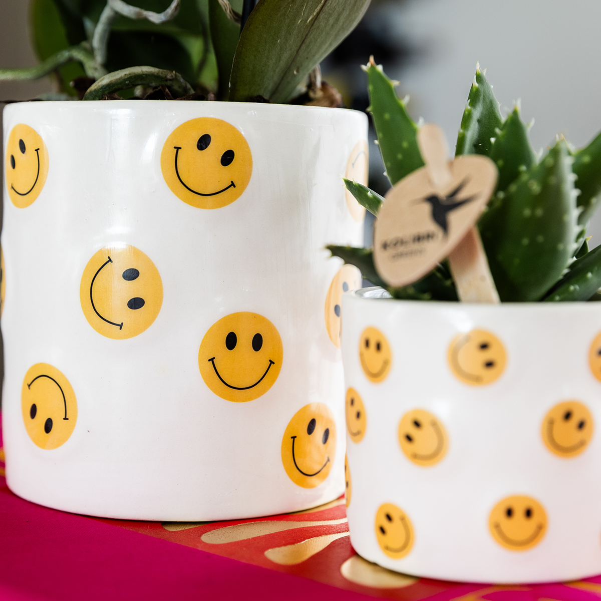 Set Smiley