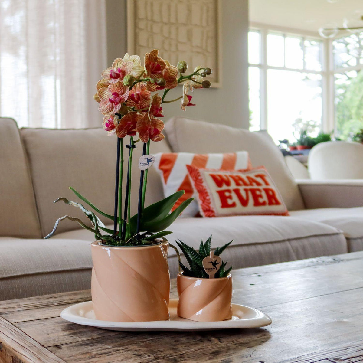 Kolibri Home | Candy Dekotopf - Peach - Ø9cm