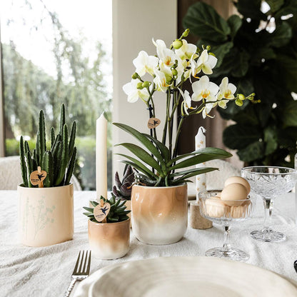 Kolibri Home | Gradience Übertopf - Sand - Ø6cm