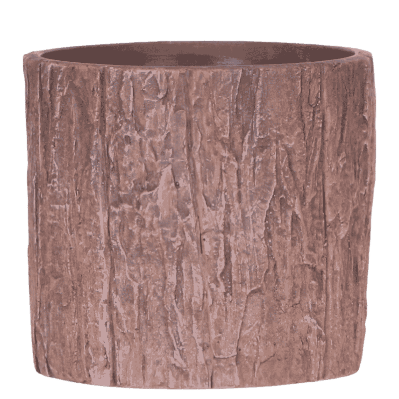 Kolibri Home | Tree Übertopf - Ø12 cm