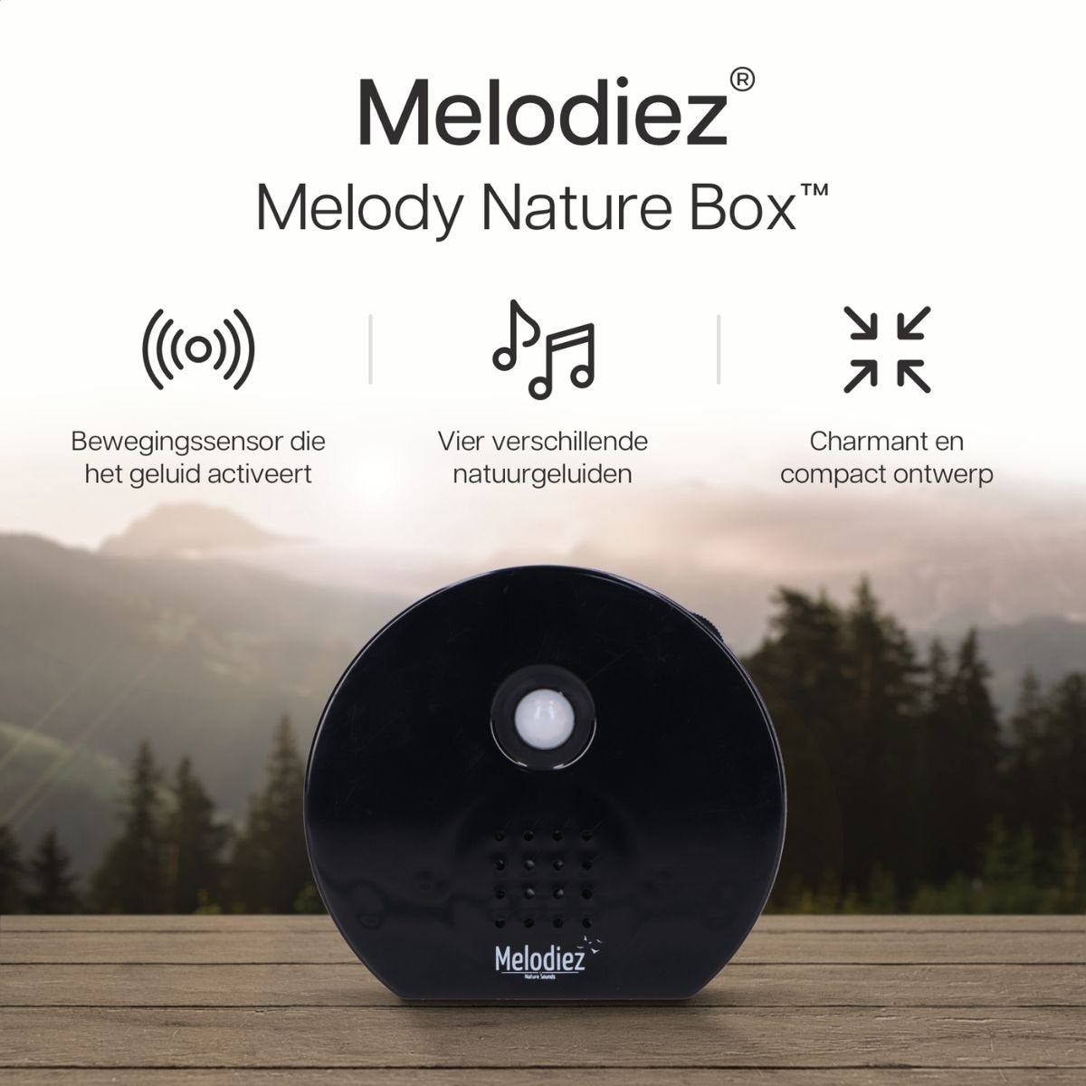 Melodiez | Spieluhr - Schwarz