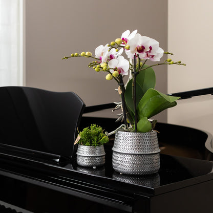 Kolibri Home | Groove Blumentopf - Goldener Keramik-Topf - Ø9cm