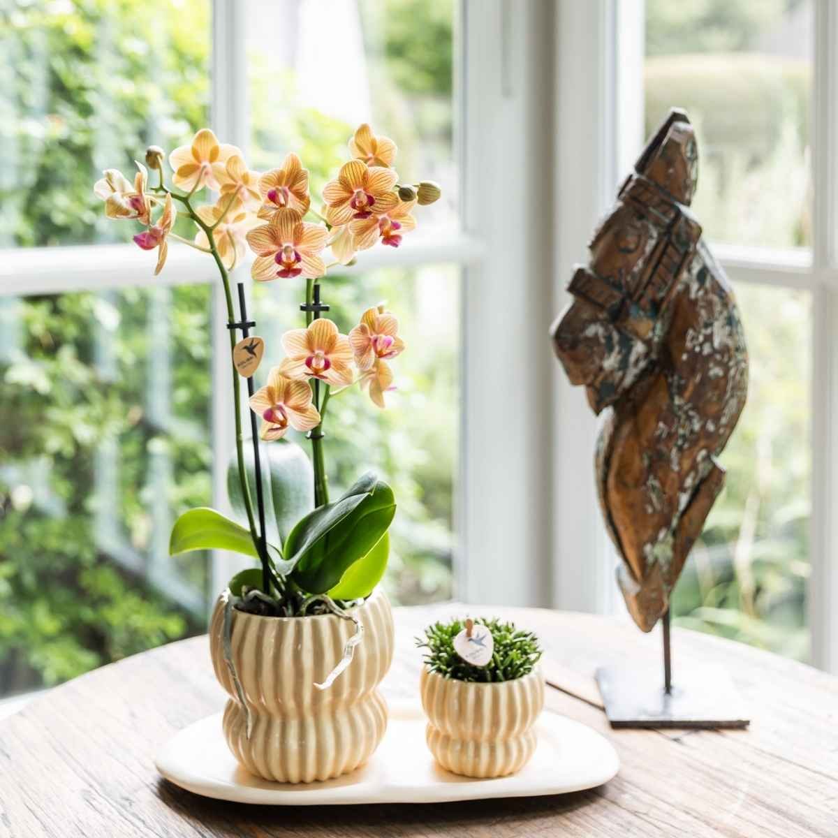 Kolibri Home | Horizon Übertopf - Gelb - ∅9cm