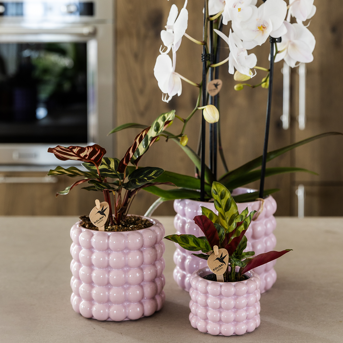 Kolibri Home | Poppy Ziertopf - Pink - Ø6cm