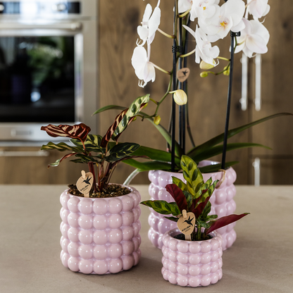 Kolibri Home | Poppy Ziertopf - Pink - Ø6cm