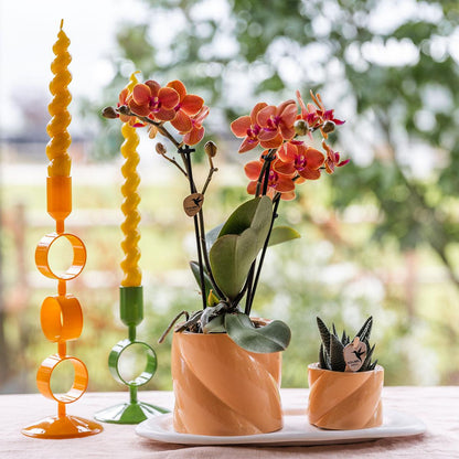 Kolibri Home | Candy Dekotopf - Peach - Ø9cm