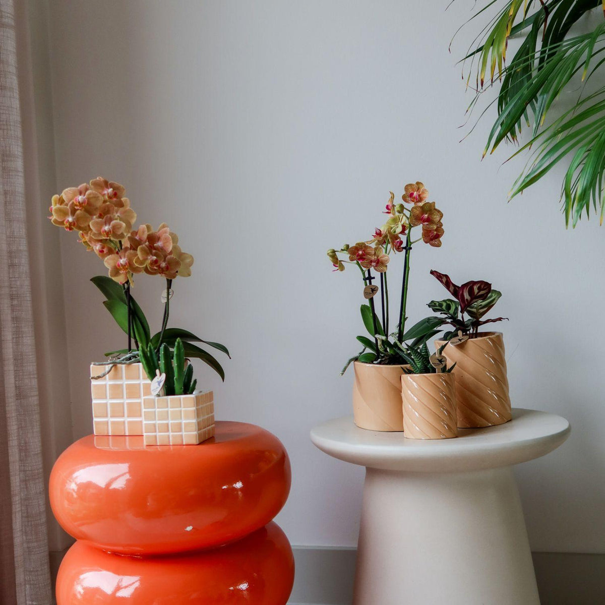 Kolibri Home | Candy Dekotopf | Hoch - Peach - Ø9cm