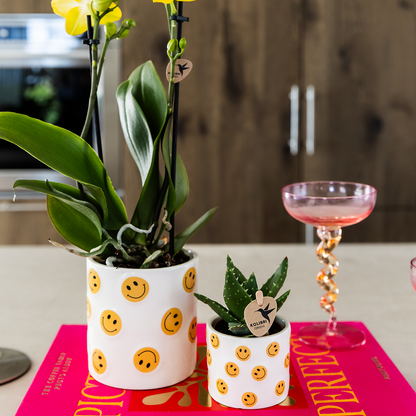 Kolibri Home | Smiley Übertopf - Ø6cm