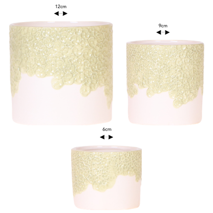Kombi‑Deal | Bloom Grün Übertopf‑Set