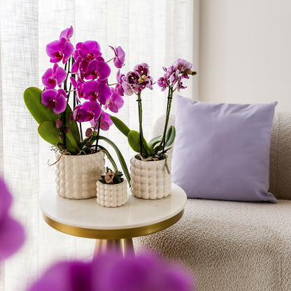 Kolibri Home | Poppy Ziertopf - White - Ø12cm