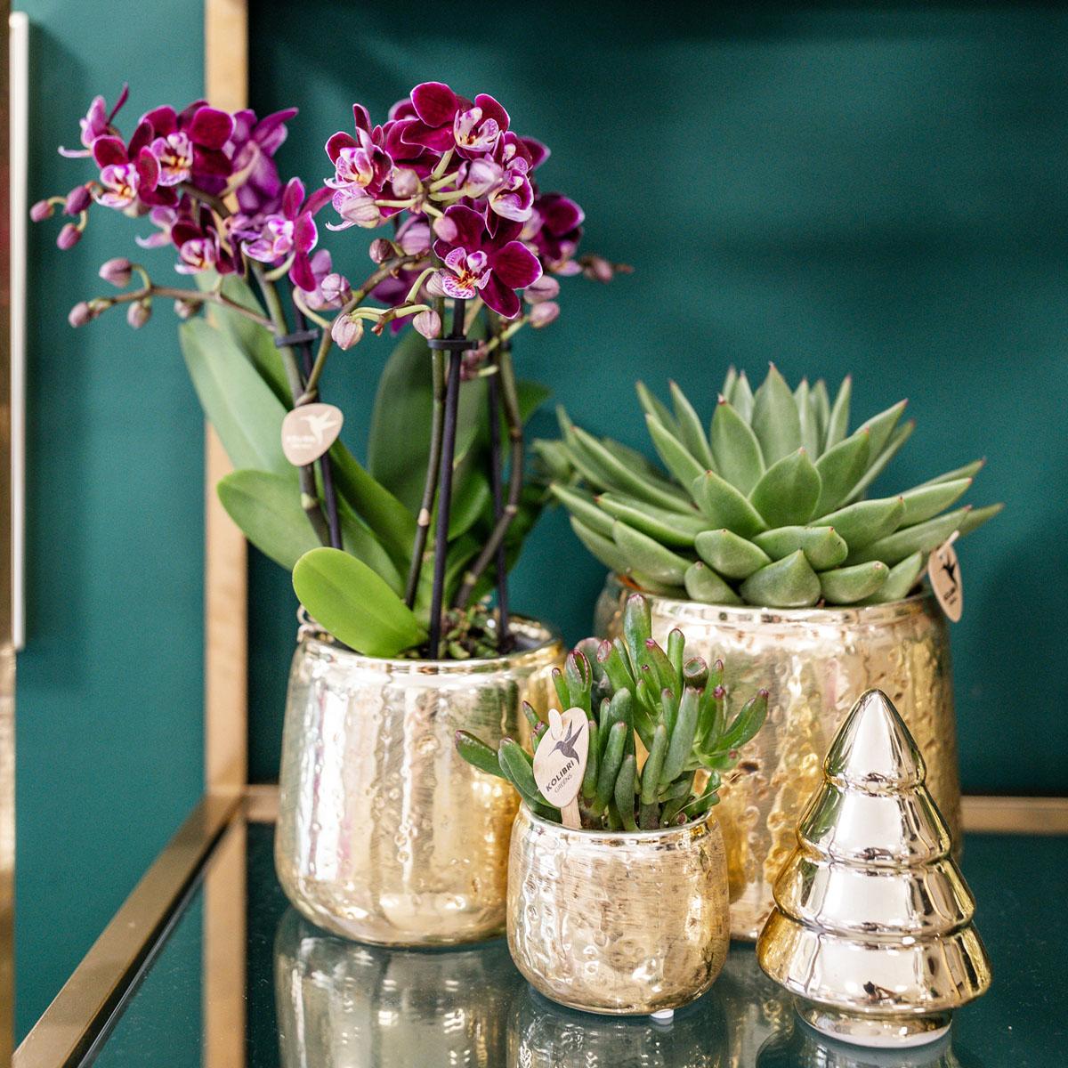 Kolibri Home | Luxuriöser Blumentopf - Goldener Keramiktopf - Ø9cm