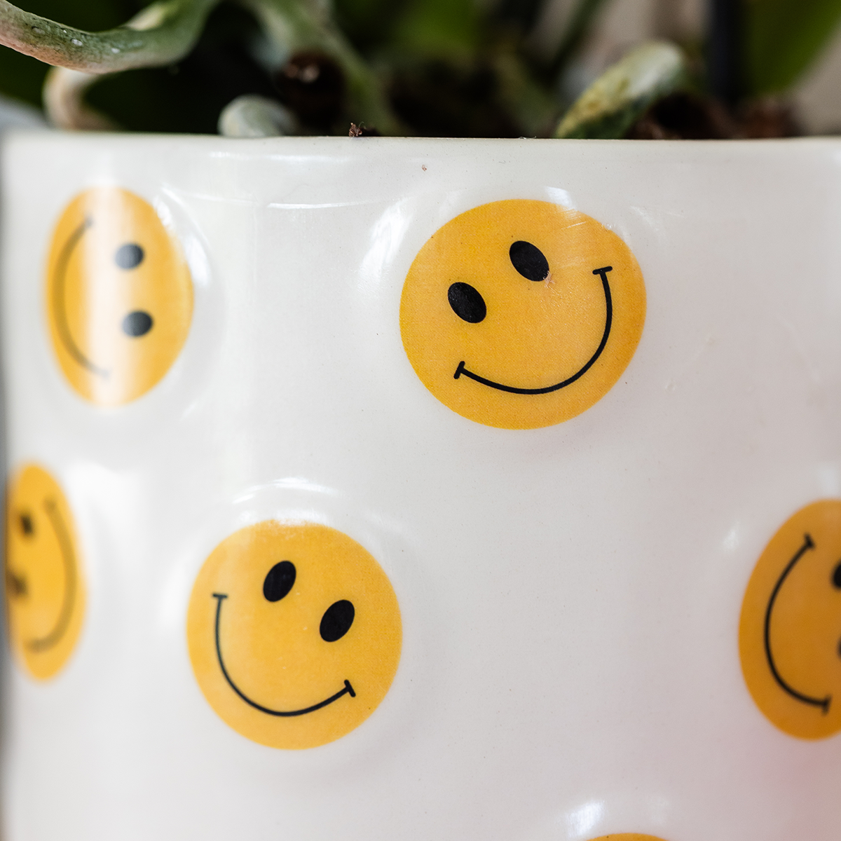 Set Smiley