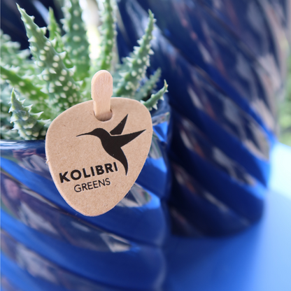 Kolibri Home | Candy Dekotopf | Hoch - Blue - Ø6cm
