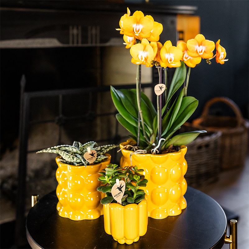 Kolibri Home | Cotton Shine Übertopf - Yellow - Ø9cm