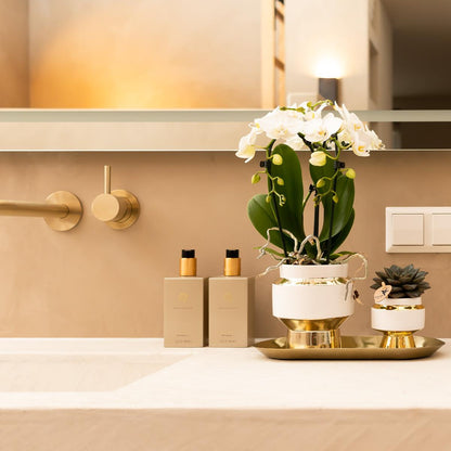Kolibri Home | Le Chic Übertopf - Gold - Ø6cm