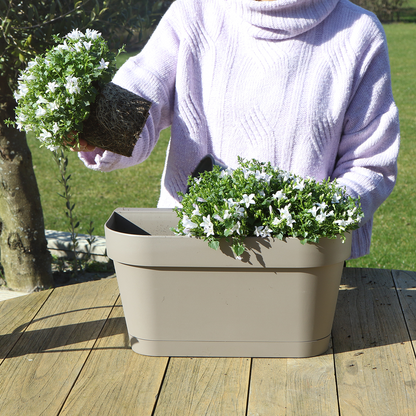 Campanula Addenda Ambella Intensives Violett - Balkonpflanzer weiß mit 3 Campanula-Töpfen Größe 12cm - Inkl. Aufhängesystem - Glockenblume violett - Stauden - Gartenpflanzen