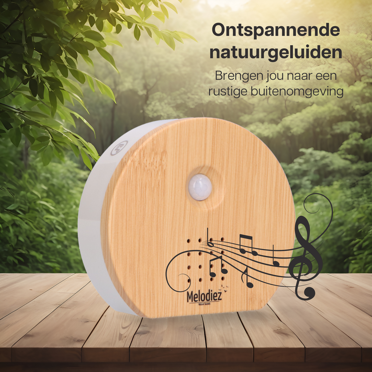 Melodiez Spieluhr  - Holzfarben