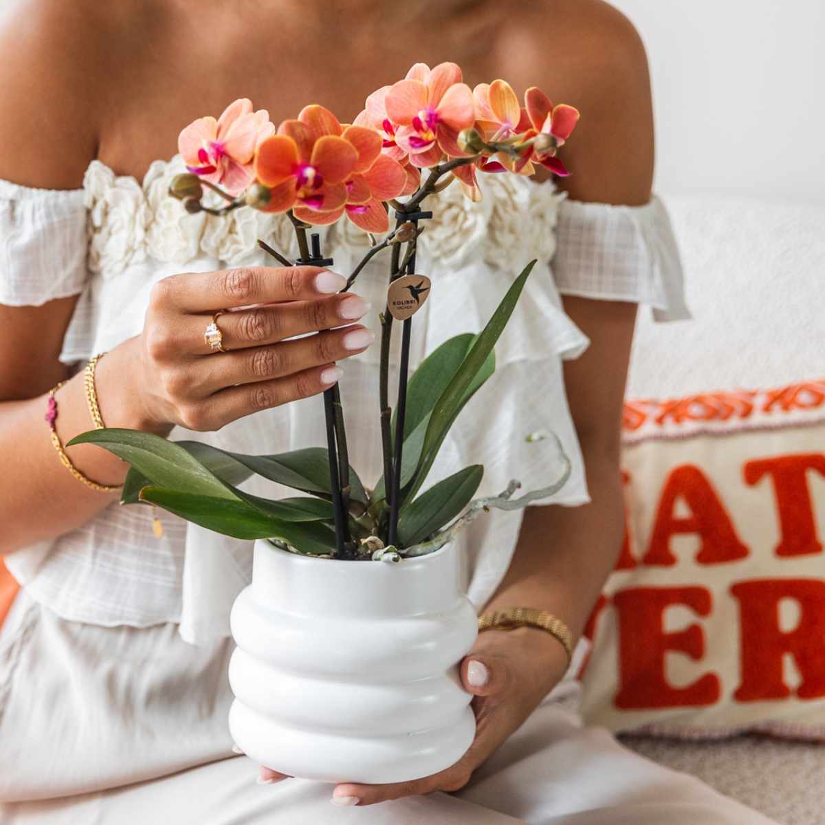 Kolibri Orchids | COMBI DEAL von 4 orange Phalaenopsis Orchideen - Bozen - Topfgröße Ø9cm blühende Zimmerpflanze - frisch vom Züchter