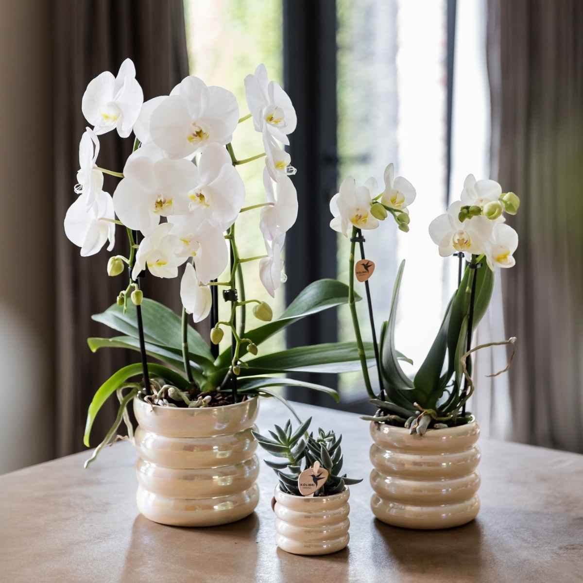 Kolibri Home | Glow Übertopf - Travertin - Ø6cm