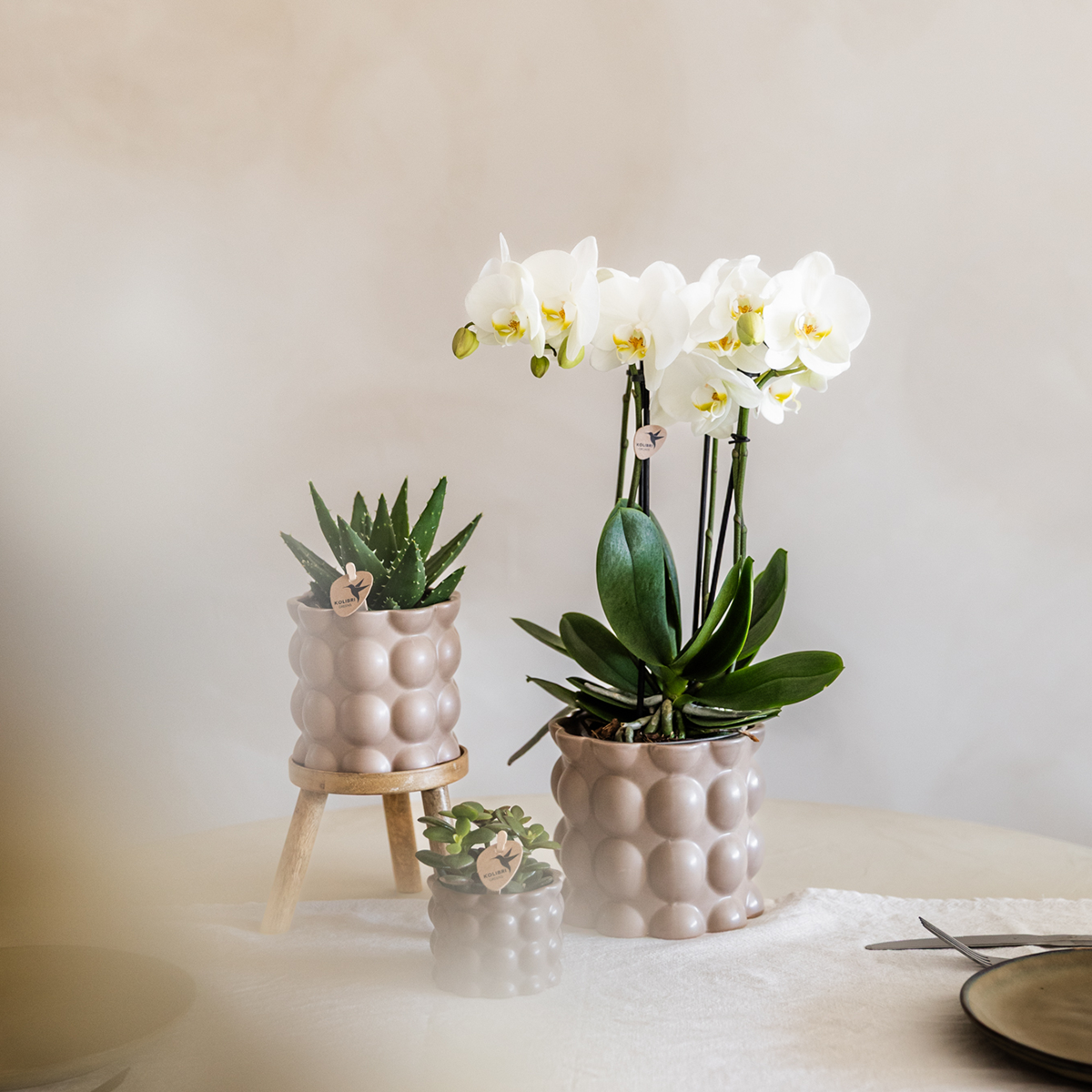 Kolibri Home | Cotton sierpot - Sand - Ø12cm