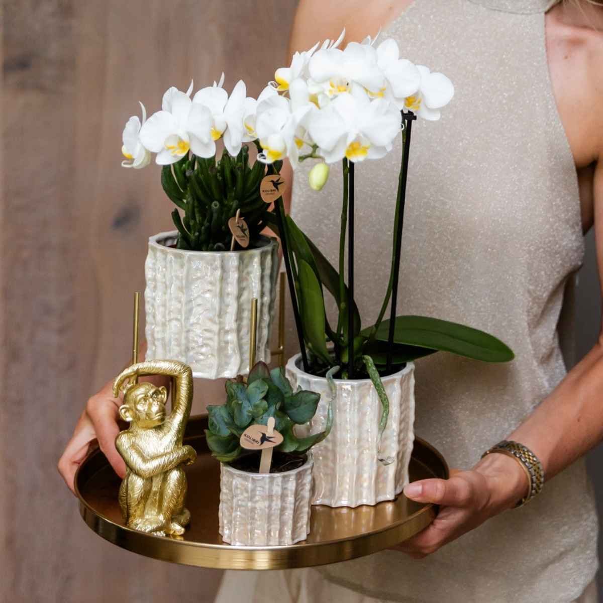 Kolibri Home | Oyster Übertopf - Ø9cm