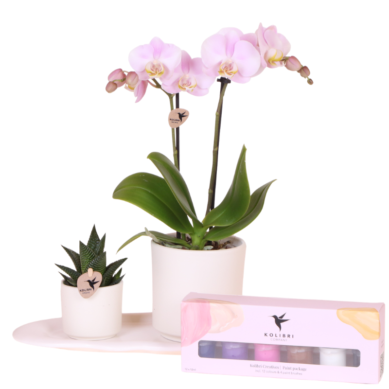 Kreatives Geschenkset