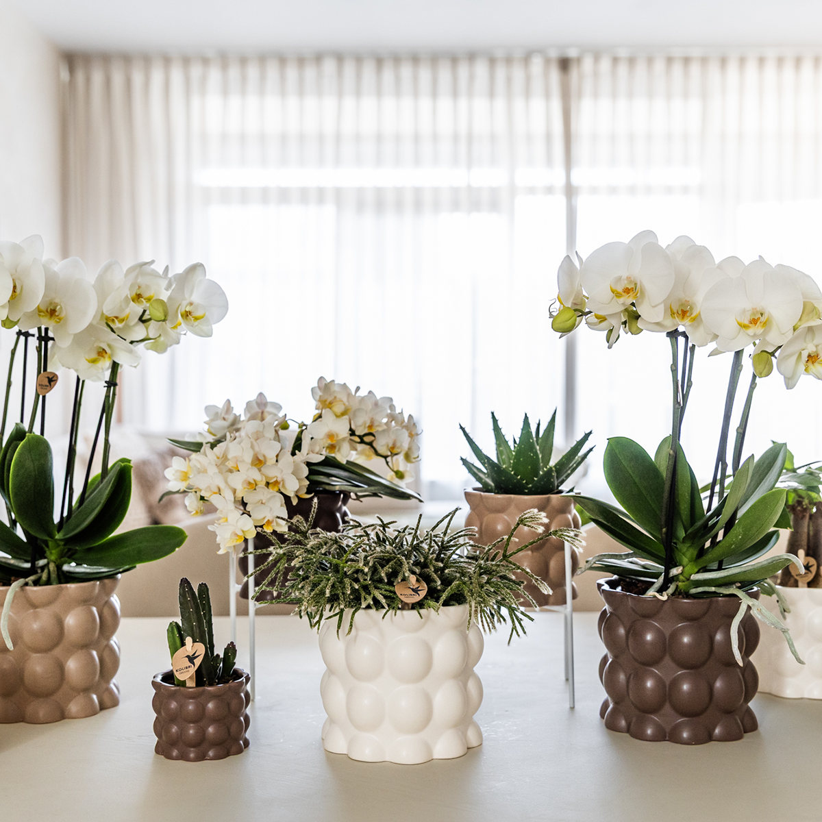 Kolibri Home | Cotton sierpot - White - Ø9cm