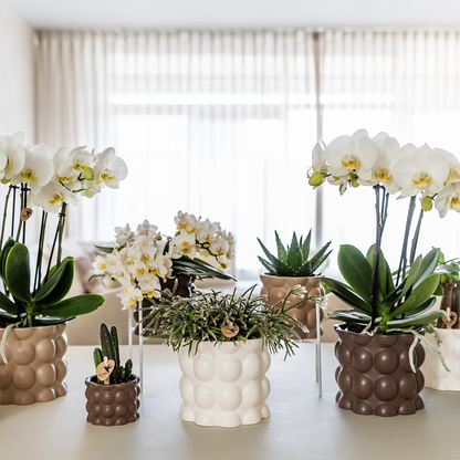 Kolibri Home | Cotton sierpot - White - Ø9cm