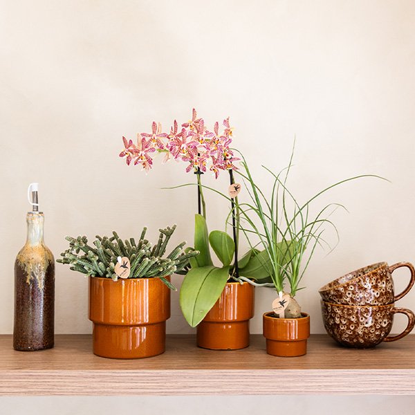 Kolibri Home | Timeless Übertopf - Oranje - Ø9 cm
