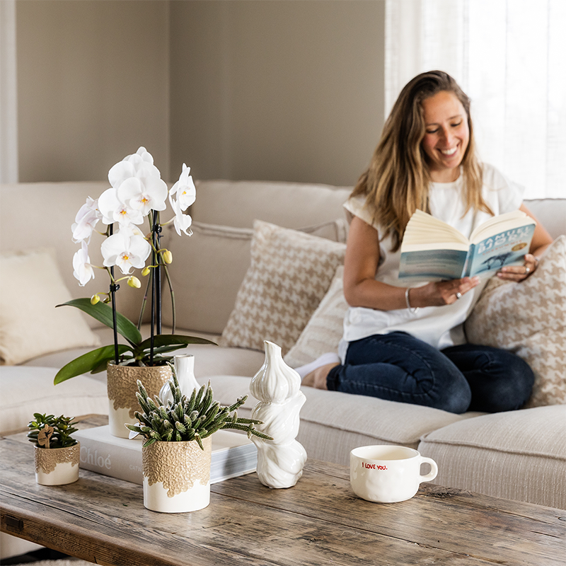 Kombi‑Deal | Bloom Sand Übertopf‑Set