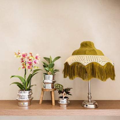 Kolibri Orchids | Kombi-Angebot - 2 Orange-Gelbe Phalaenopsis Orchideen Mineral Grosseto - Ø9 cm