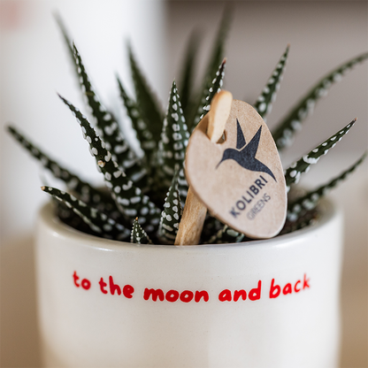 Kolibri Home | Ziertopf „To the Moon and Back“ - Ø6cm