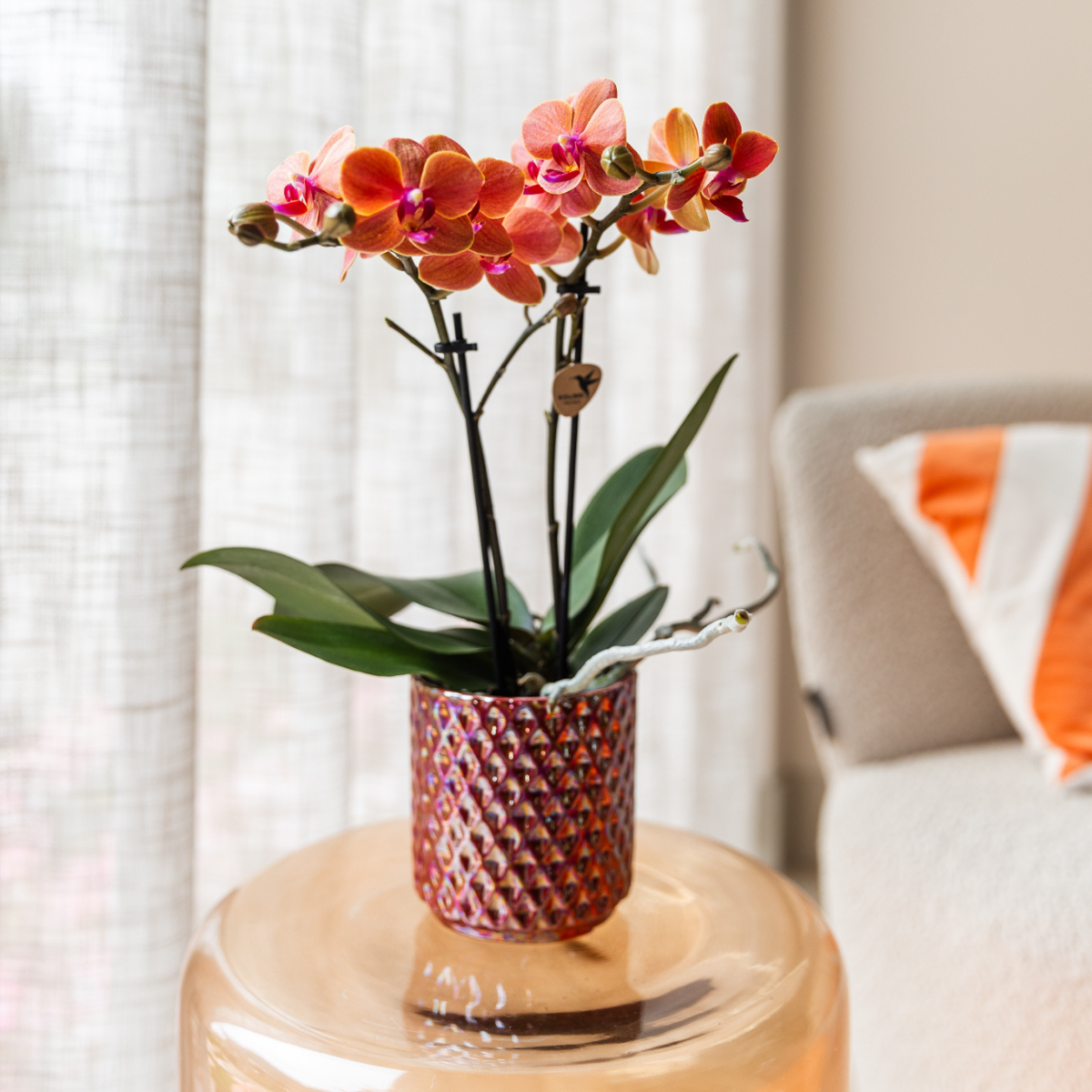 Kolibri Home | Diamond Pearl Dekotopf - Red - Ø6cm