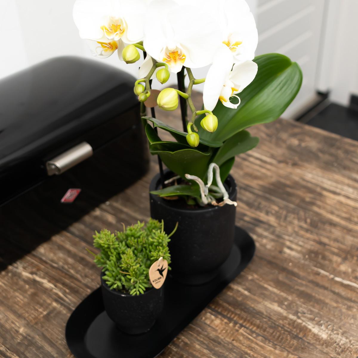 Kolibri Home | Teller oval - Ovales Tablett Ø30cm - Black