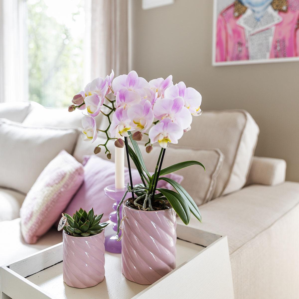 Kolibri Home | Candy Dekotopf | Hoch - Pink - Ø6cm