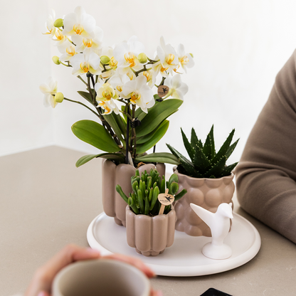 Kolibri Home | Decoratieschaal wit - Rond Ø30cm