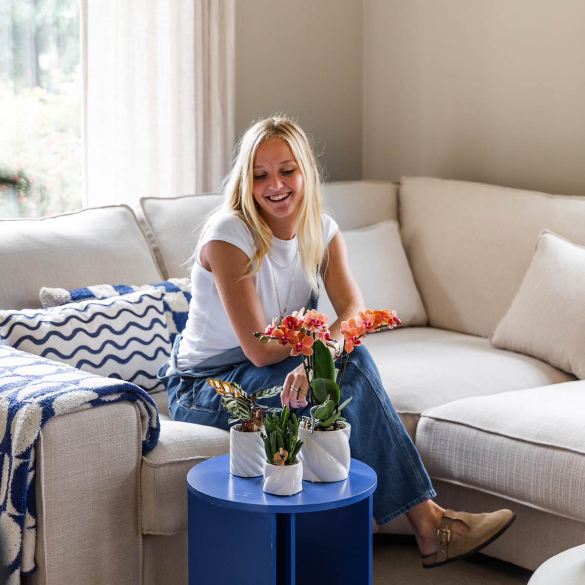 Kolibri Orchids | COMBI DEAL von 4 orange Phalaenopsis Orchideen - Bozen - Topfgröße Ø9cm blühende Zimmerpflanze - frisch vom Züchter