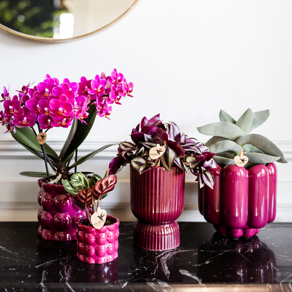Kolibri Home | Diabolo-Ziertopf | Ø9cm - Burgundy