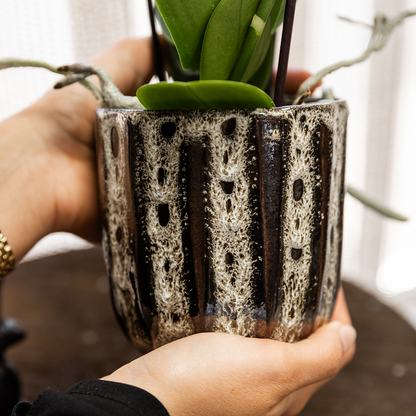 Kolibri Orchids | Weiße Phalaenopsis Orchidee - Mineral Amabilis im Soul Übertopf - Ø9 cm