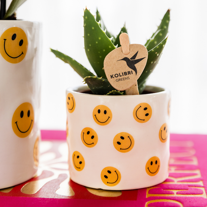 Kolibri Home | Smiley Übertopf - Ø6cm